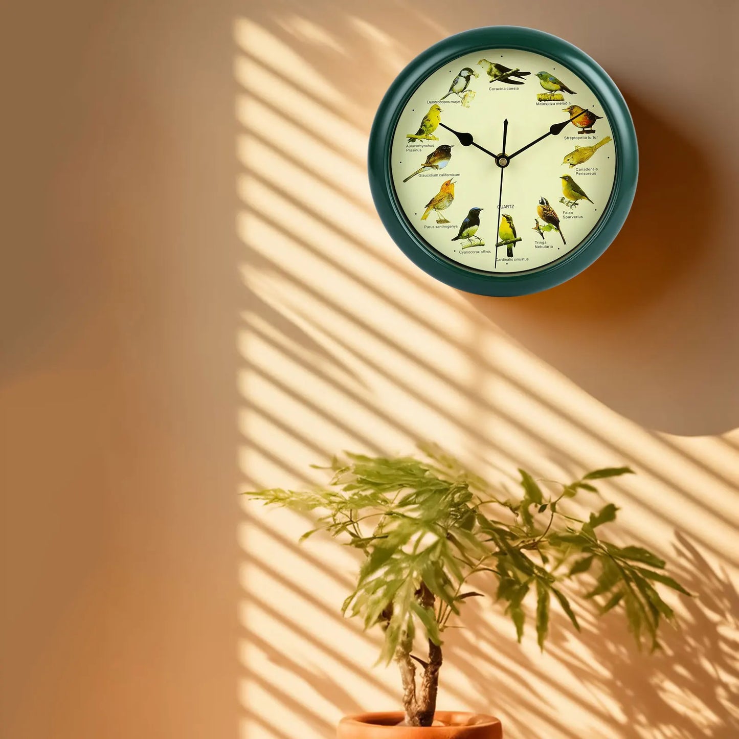 10 Inch Bird Sound Wall Clock with Hourly Birdsong Silent Movement Home Decor
