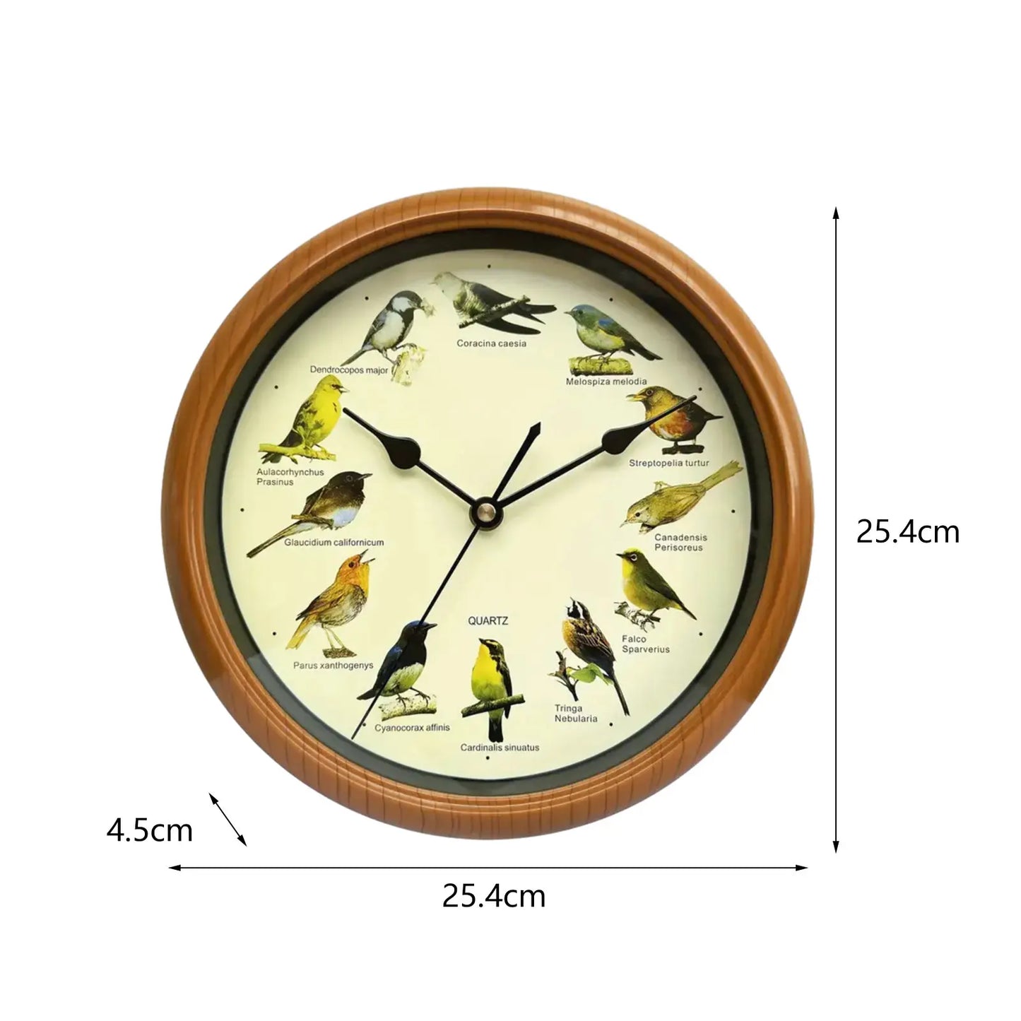 10 Inch Bird Sound Wall Clock with Hourly Birdsong Silent Movement Home Decor