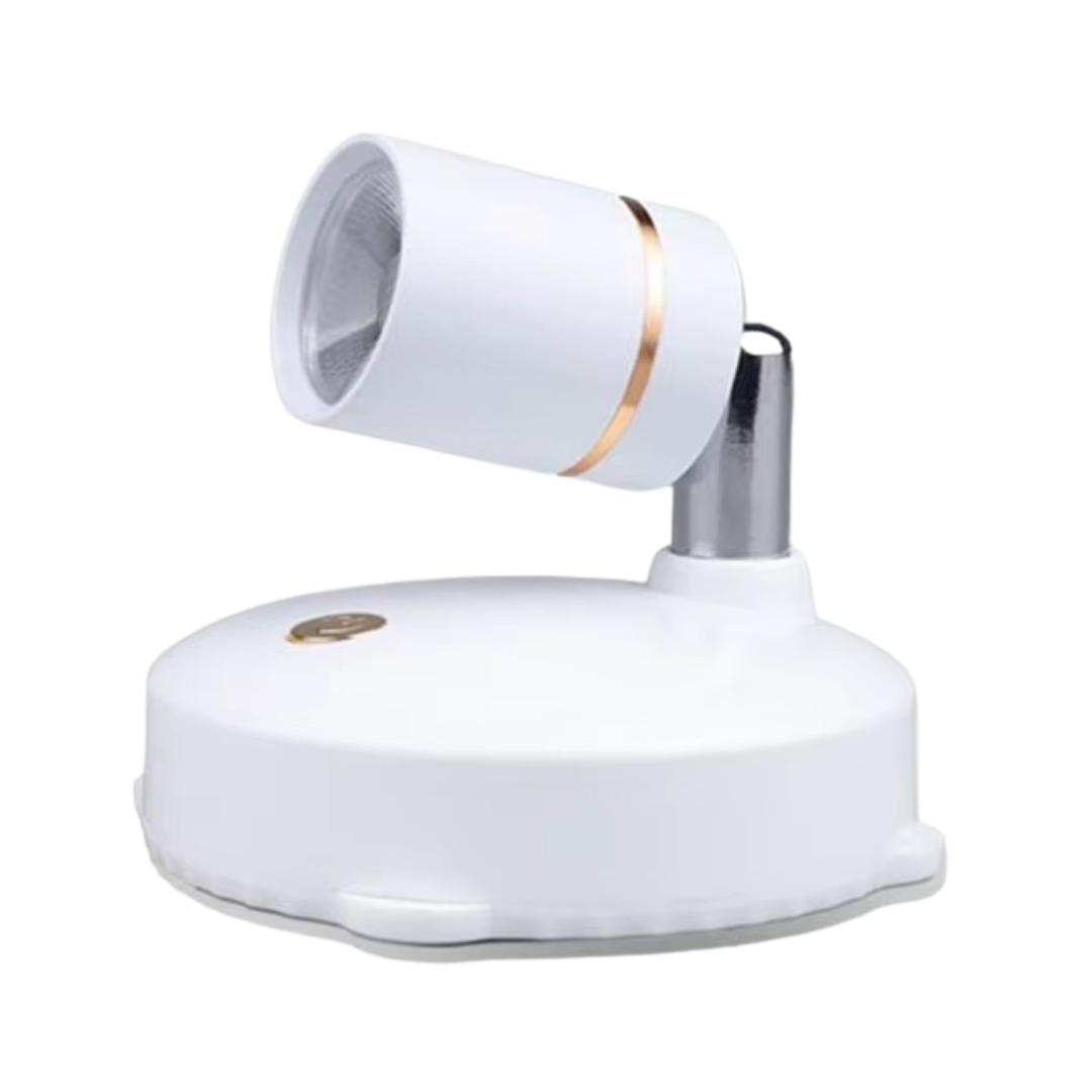Adjustable LED Spotlight Wall Light with Remote Control 300 Degree Rotating Accent Light