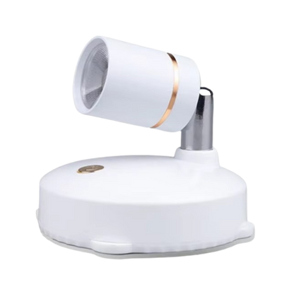 Adjustable LED Spotlight Wall Light with Remote Control 300 Degree Rotating Accent Light