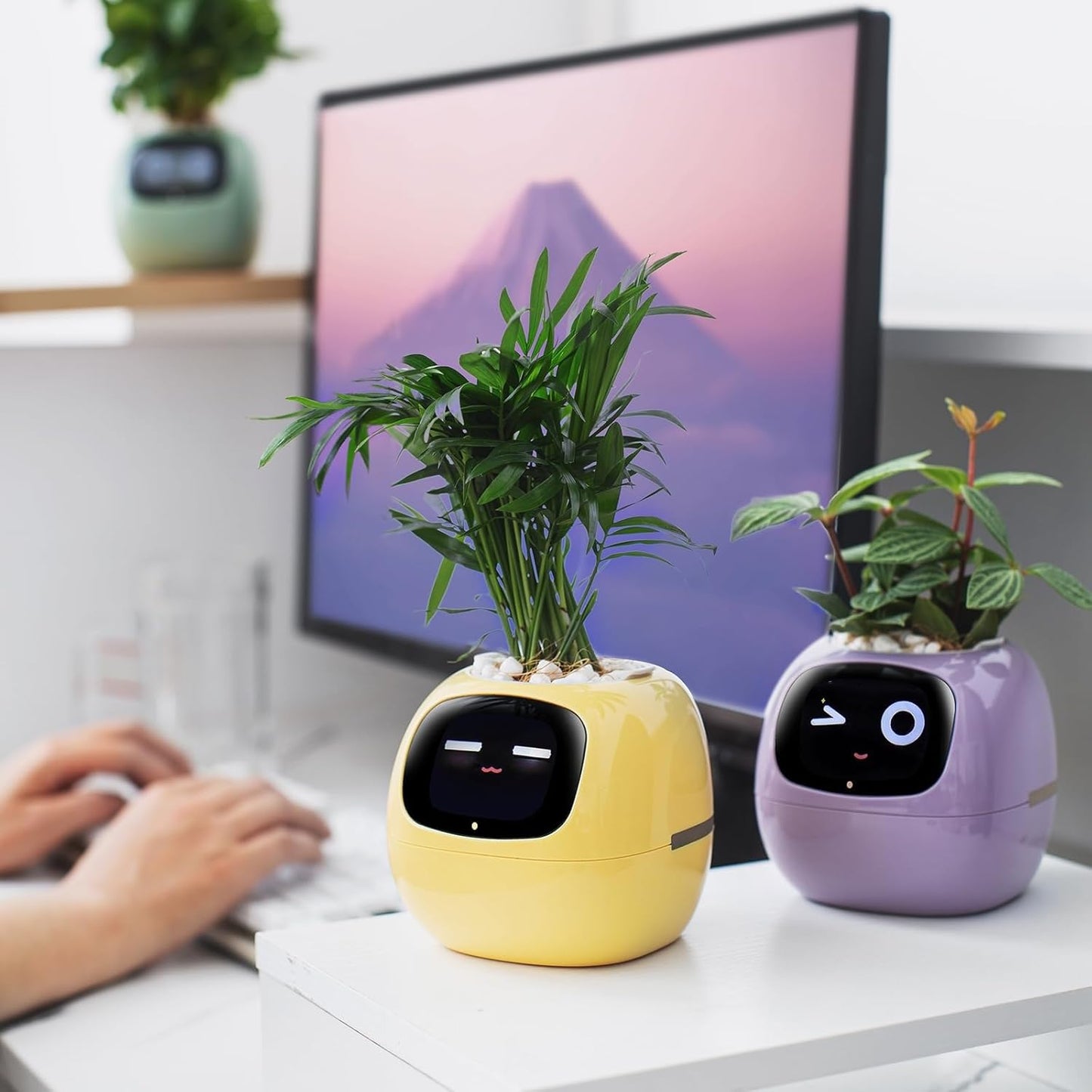 Automatic Smart Plant Pot – Self-Watering Smart Flower Pot with App Control