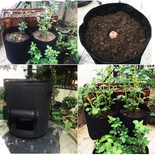Durable Garden Grow Bags with Handles for Vegetables Potatoes Plants Reusable Fabric Planting Bags