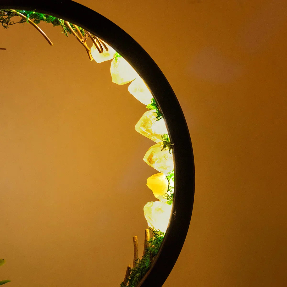 EnchantedRing Elegant Circular Crystal Night Light with Greenery for Home Décor