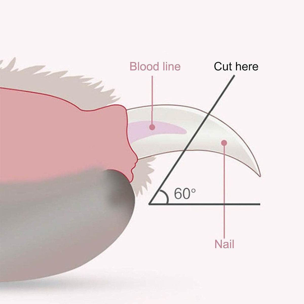 Ergonomic Dog Cat Nail Clipper with LED Light Precision Pet Grooming Tool