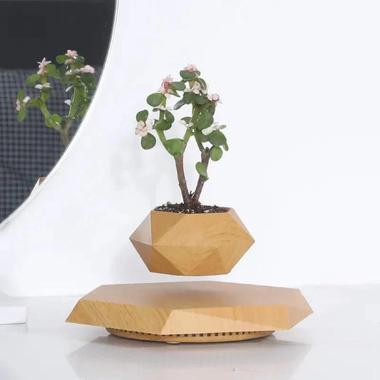 Floating Magnetic Plant Pot 360 Degree Levitating Planter for Indoor Decor