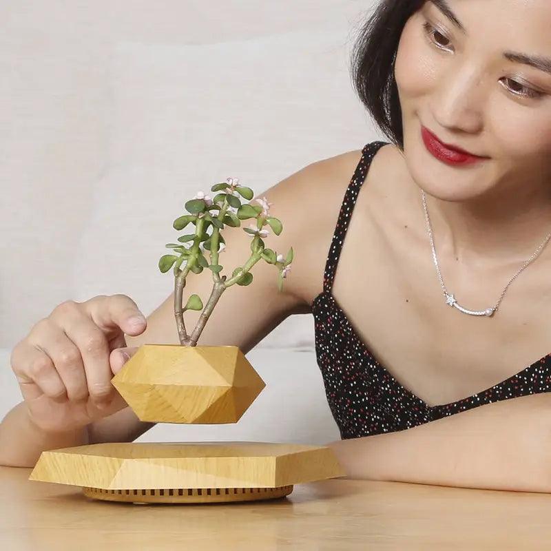 Floating Magnetic Plant Pot 360 Degree Levitating Planter for Indoor Decor