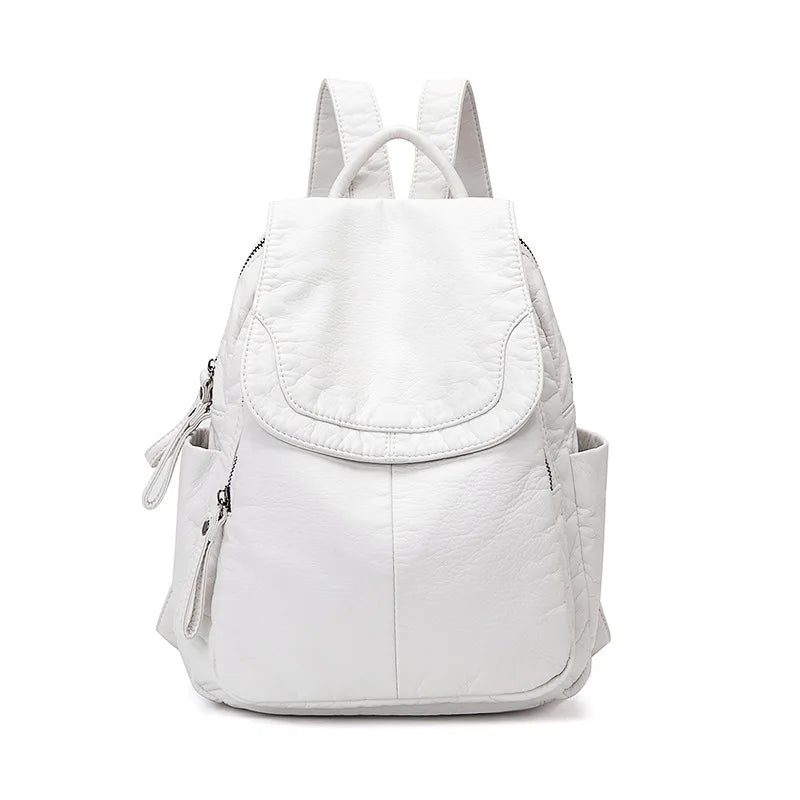 Large Capacity Lightweight Backpack with Adjustable Shoulder Straps Travel School Backpack