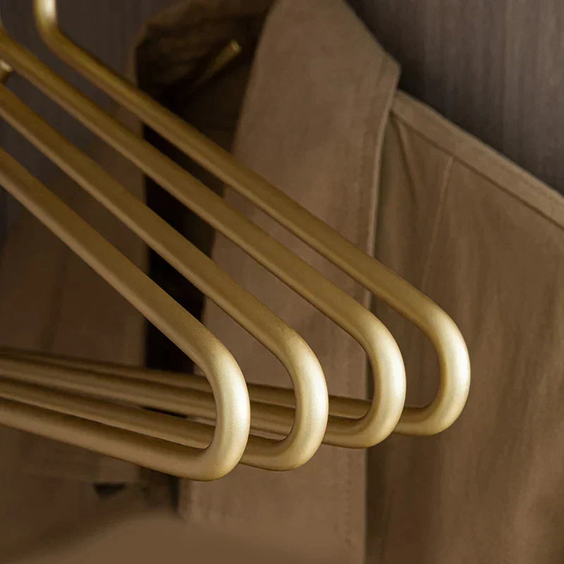 Metal Clothes Hanger Set Luxury Slim Non Slip Wardrobe Organizer Five Pack