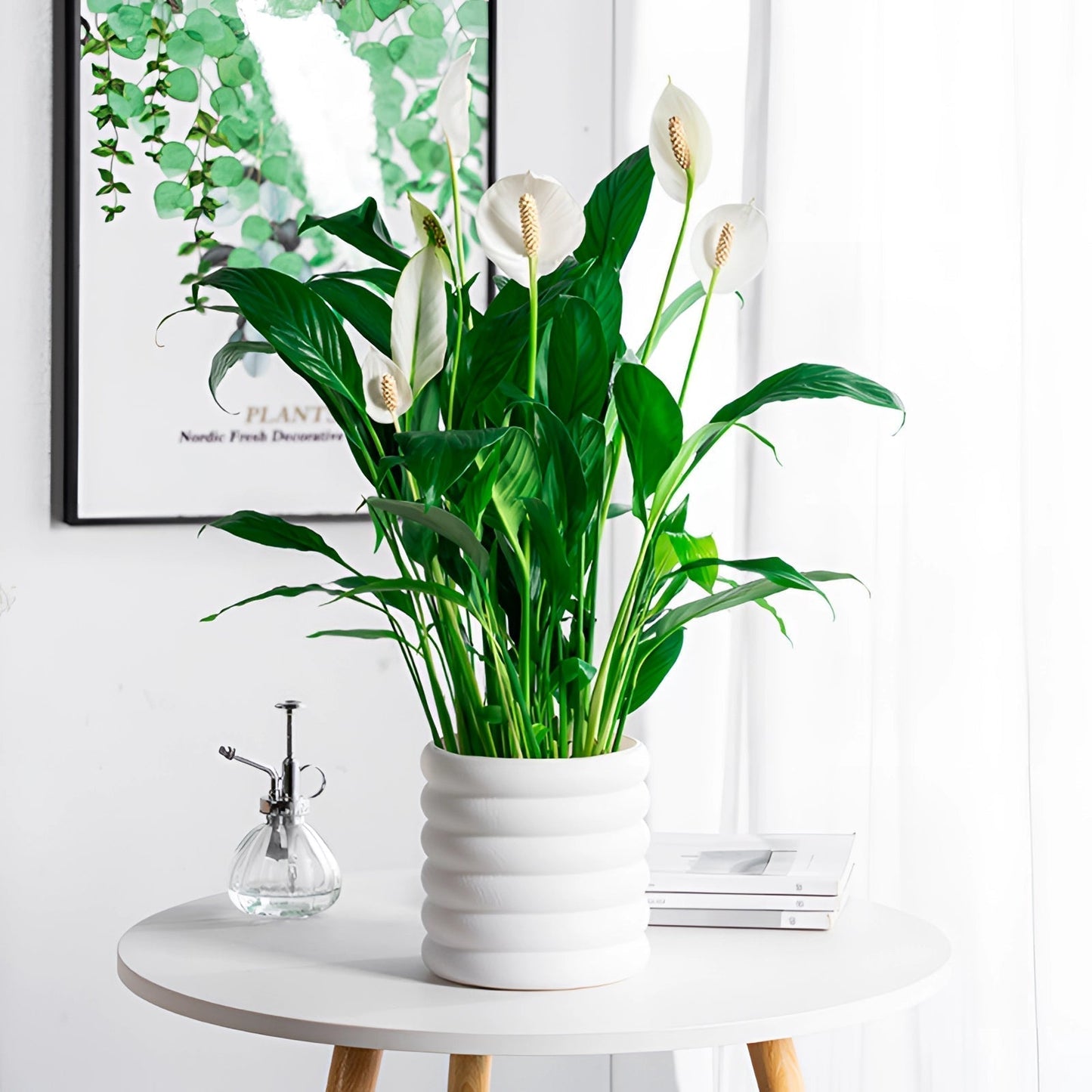 Modern Indoor Plant Pot Removable Flower Pot Planter for Herbs Flowers Small Plants Home Office Decor