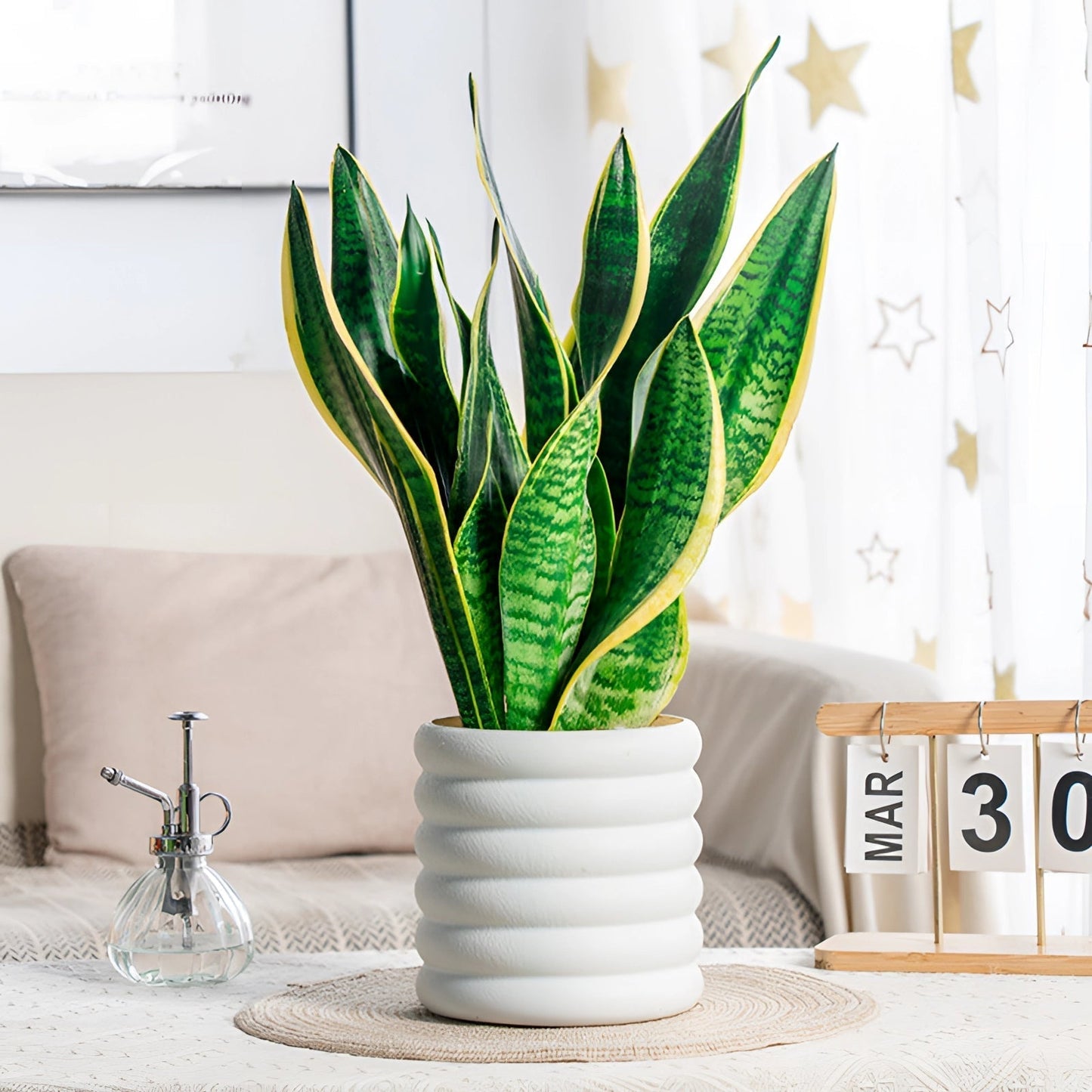Modern Indoor Plant Pot Removable Flower Pot Planter for Herbs Flowers Small Plants Home Office Decor