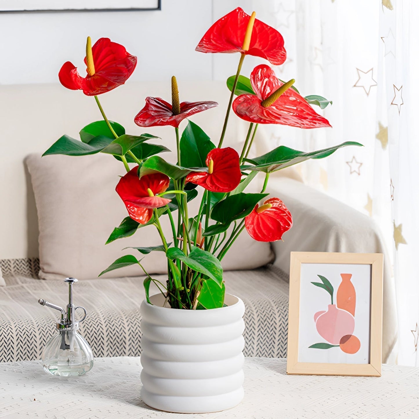 Modern Indoor Plant Pot Removable Flower Pot Planter for Herbs Flowers Small Plants Home Office Decor