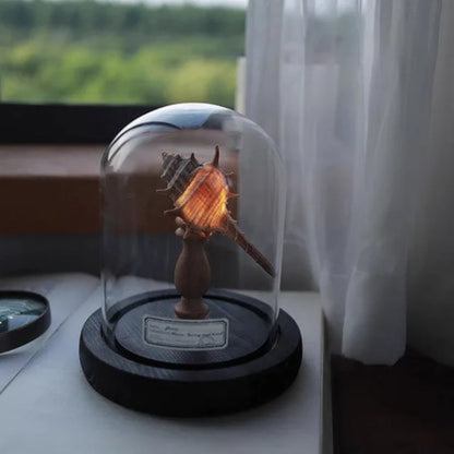 Ocean Inspired Mushroom Design Decorative LED Glass Dome Mini Lamp Table Light