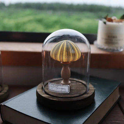 Ocean Inspired Mushroom Design Decorative LED Glass Dome Mini Lamp Table Light