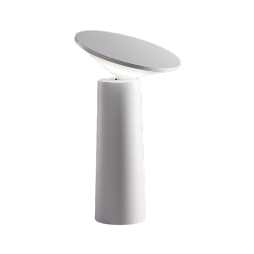 Portable USB Rechargeable Table Lamp Dimmable LED Desk Lamp with Adjustable Lighting Modes