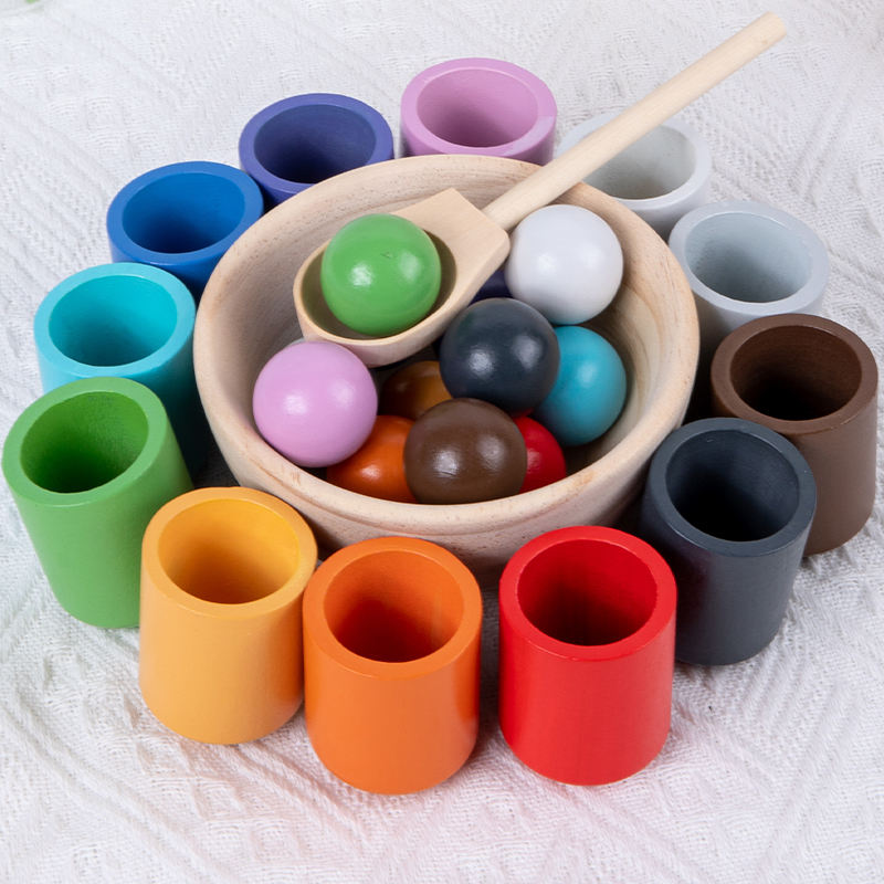 Shape Sorting Learning Game Motor Skills Development Toy