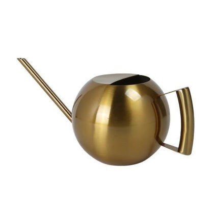 Slim Metal Watering Can with Precision Spout for Indoor Plants