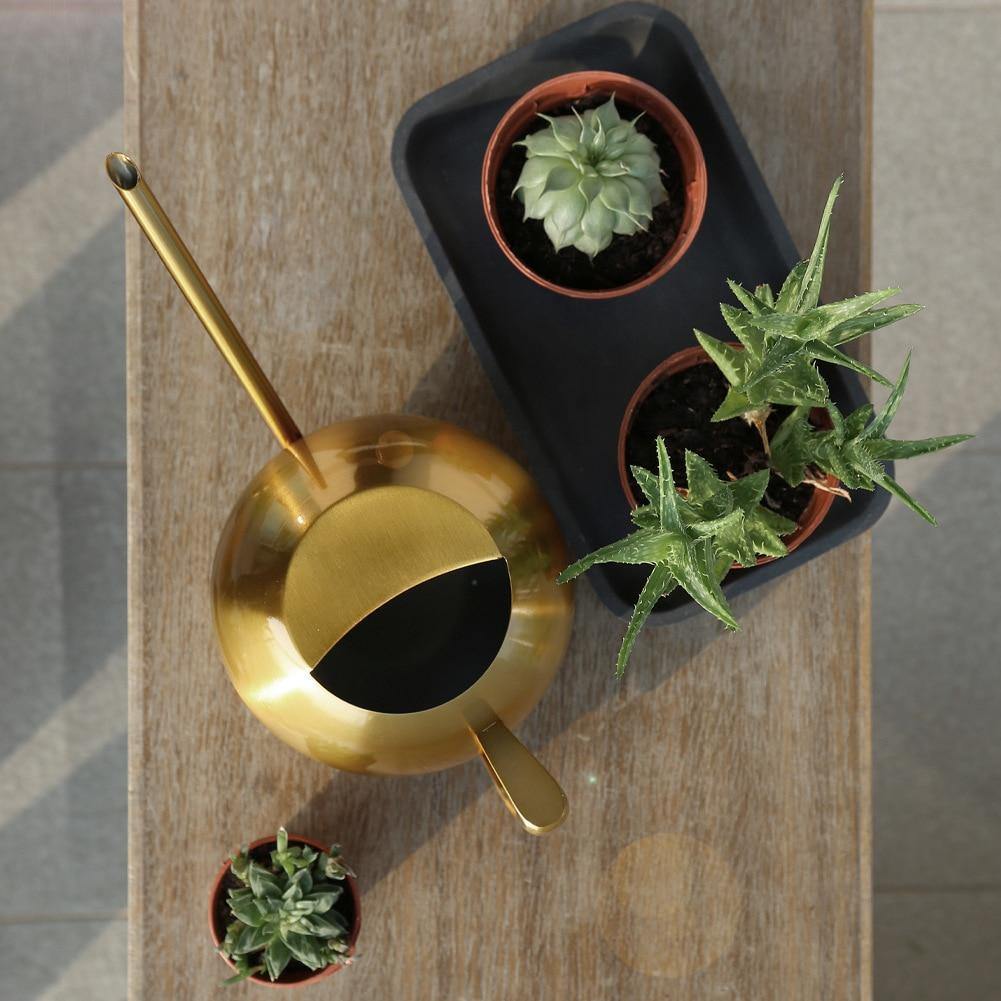 Slim Metal Watering Can with Precision Spout for Indoor Plants