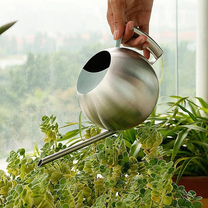 Slim Metal Watering Can with Precision Spout for Indoor Plants