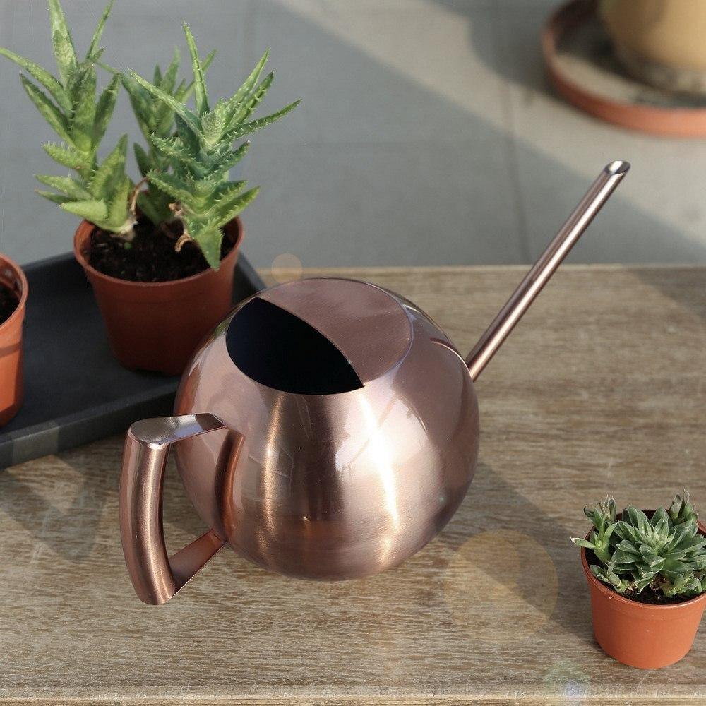 Slim Metal Watering Can with Precision Spout for Indoor Plants