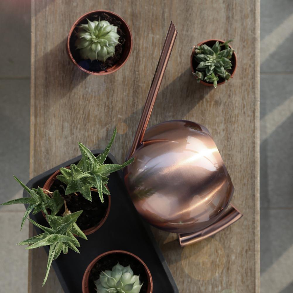 Slim Metal Watering Can with Precision Spout for Indoor Plants