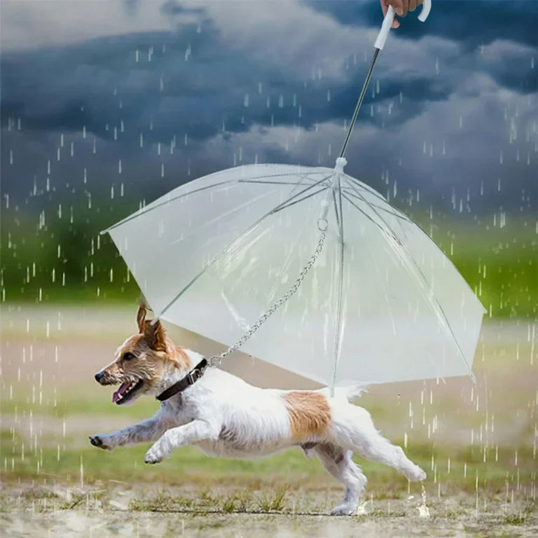 Transparent Dog Umbrella – Clear Rain Protection for Small & Medium Dogs